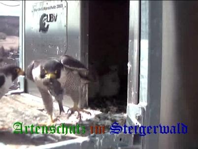 Copyright AiS / Wörner Bild zum Eintrag (27684-160)