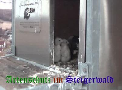 Copyright AiS / Wörner Bild zum Eintrag (27690-160)