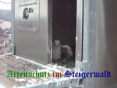Copyright AiS / Wörner Bild zum Eintrag (27698-160)
