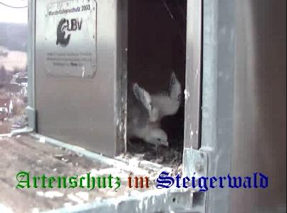 Copyright AiS / Wörner Bild zum Eintrag (27699-160)