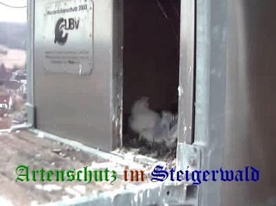 Copyright AiS / Wörner Bild zum Eintrag (27700-160)