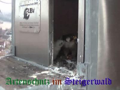 Copyright AiS / Wörner Bild zum Eintrag (27704-160)