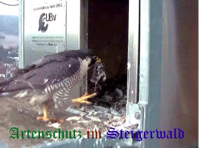Copyright AiS / Wörner Bild zum Eintrag (27706-160)