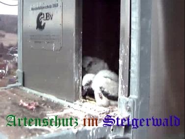 Copyright AiS / Wörner Bild zum Eintrag (27713-160)