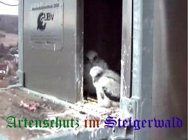 Copyright AiS / Wörner Bild zum Eintrag (27714-160)