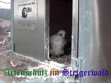 Copyright AiS / Wörner Bild zum Eintrag (27715-160)