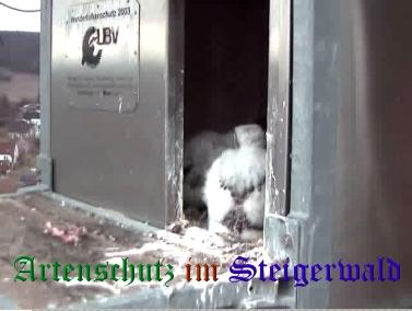 Copyright AiS / Wörner Bild zum Eintrag (27716-160)
