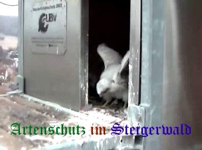 Copyright AiS / Wörner Bild zum Eintrag (27725-160)