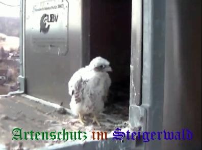 Copyright AiS / Wörner Bild zum Eintrag (27726-160)