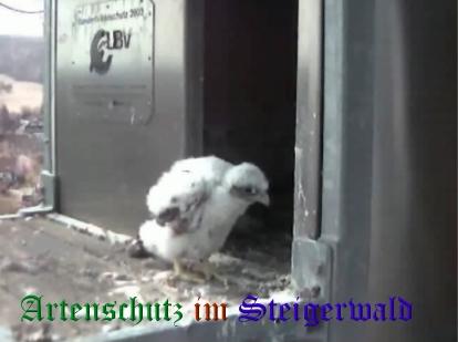 Copyright AiS / Wörner Bild zum Eintrag (27727-160)