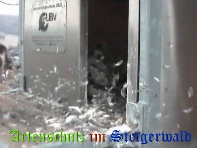 Copyright AiS / Wörner Bild zum Eintrag (27729-160)