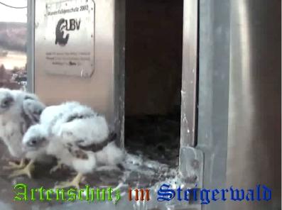 Copyright AiS / Wörner Bild zum Eintrag (27730-160)