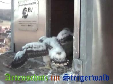 Copyright AiS / Wörner Bild zum Eintrag (27731-160)