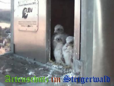 Copyright AiS / Wörner Bild zum Eintrag (27732-160)