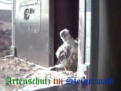 Copyright AiS / Wörner Bild zum Eintrag (27733-160)