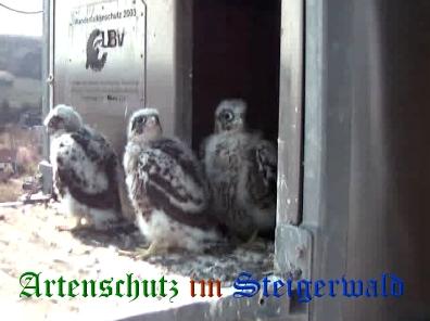 Copyright AiS / Wörner Bild zum Eintrag (27735-160)