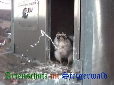 Copyright AiS / Wörner Bild zum Eintrag (27736-160)