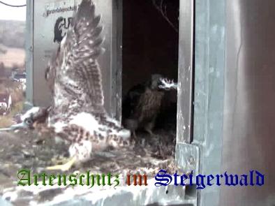 Copyright AiS / Wörner Bild zum Eintrag (27737-160)