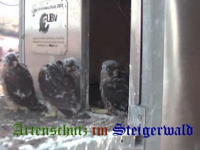 Copyright AiS / Wörner Bild zum Eintrag (27738-160)