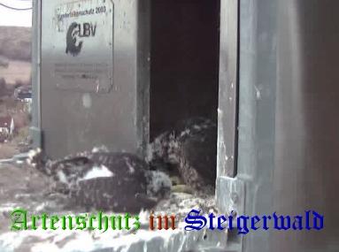 Copyright AiS / Wörner Bild zum Eintrag (27741-160)