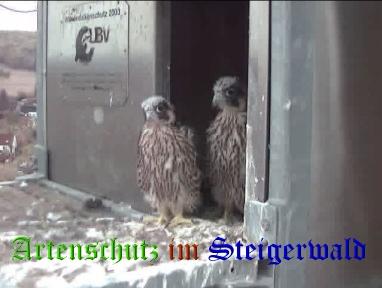 Copyright AiS / Wörner Bild zum Eintrag (27742-160)