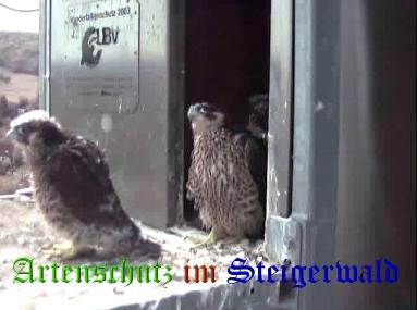 Copyright AiS / Wörner Bild zum Eintrag (27743-160)
