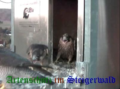 Copyright AiS / Wörner Bild zum Eintrag (27745-160)