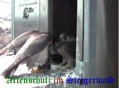 Copyright AiS / Wörner Bild zum Eintrag (27747-160)