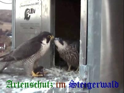 Copyright AiS / Wörner Bild zum Eintrag (27748-160)