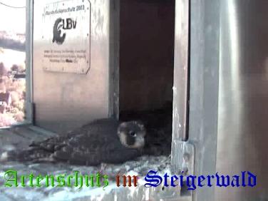 Copyright AiS / Wörner Bild zum Eintrag (27750-160)
