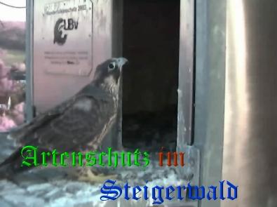 Copyright AiS / Wörner Bild zum Eintrag (27753-160)