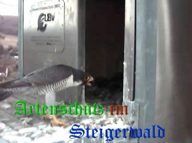 Copyright AiS / Wörner Bild zum Eintrag (27754-160)