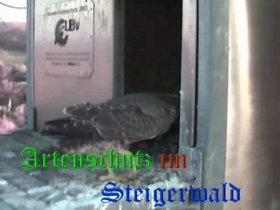 Copyright AiS / Wörner Bild zum Eintrag (27756-160)