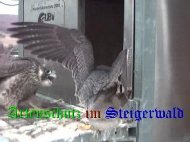 Copyright AiS / Wörner Bild zum Eintrag (27757-160)