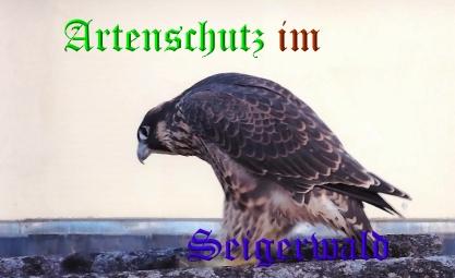 Copyright AiS / Wörner Bild zum Eintrag (27759-160)