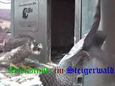 Copyright AiS / Wörner Bild zum Eintrag (27760-160)