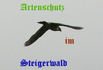 Copyright AiS / Wörner Bild zum Eintrag (27765-160)