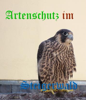 Copyright AiS / Wörner Bild zum Eintrag (27766-160)