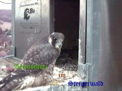 Copyright AiS / Wörner Bild zum Eintrag (27768-160)