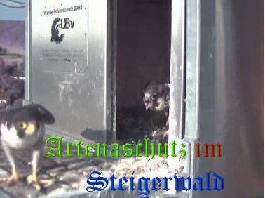 Copyright AiS / Wörner Bild zum Eintrag (27769-160)