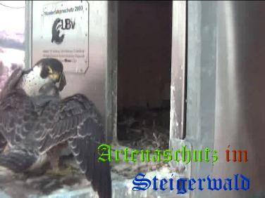 Copyright AiS / Wörner Bild zum Eintrag (27770-160)