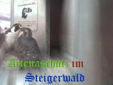 Copyright AiS / Wörner Bild zum Eintrag (27771-160)