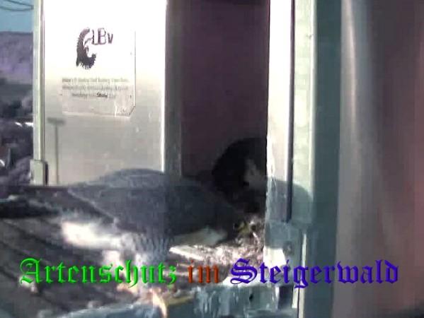Copyright AiS / Wörner Bild zum Eintrag (27772-160)
