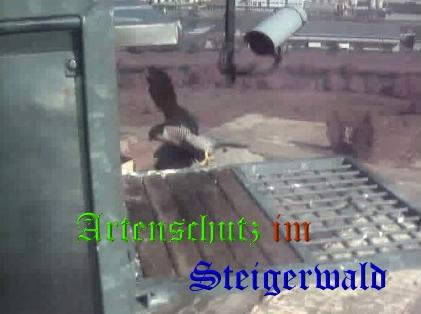 Copyright AiS / Wörner Bild zum Eintrag (27775-160)