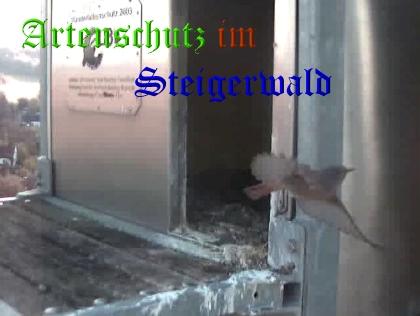 Copyright AiS / Wörner Bild zum Eintrag (27776-160)