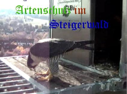 Copyright AiS / Wörner Bild zum Eintrag (27779-160)
