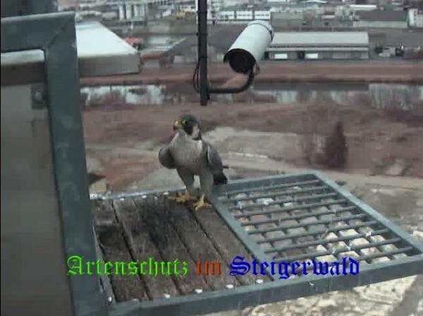 Copyright AiS / Wörner Bild zum Eintrag (27784-160)