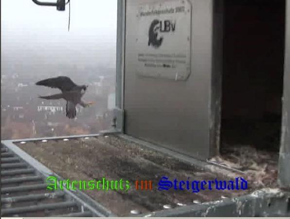 Copyright AiS / Wörner Bild zum Eintrag (27790-160)