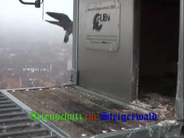 Copyright AiS / Wörner Bild zum Eintrag (27793-160)