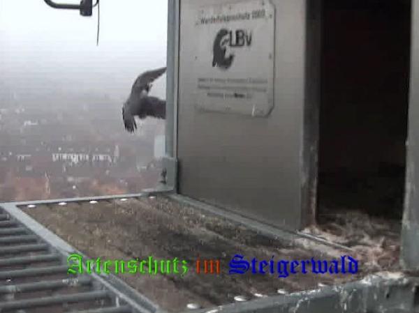 Copyright AiS / Wörner Bild zum Eintrag (27794-160)